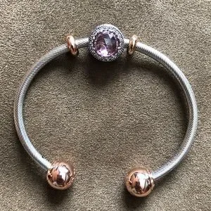 Pandora Jewelry Nwot Pandora Bracelet Open Bangle Charm